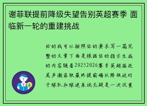 谢菲联提前降级失望告别英超赛季 面临新一轮的重建挑战